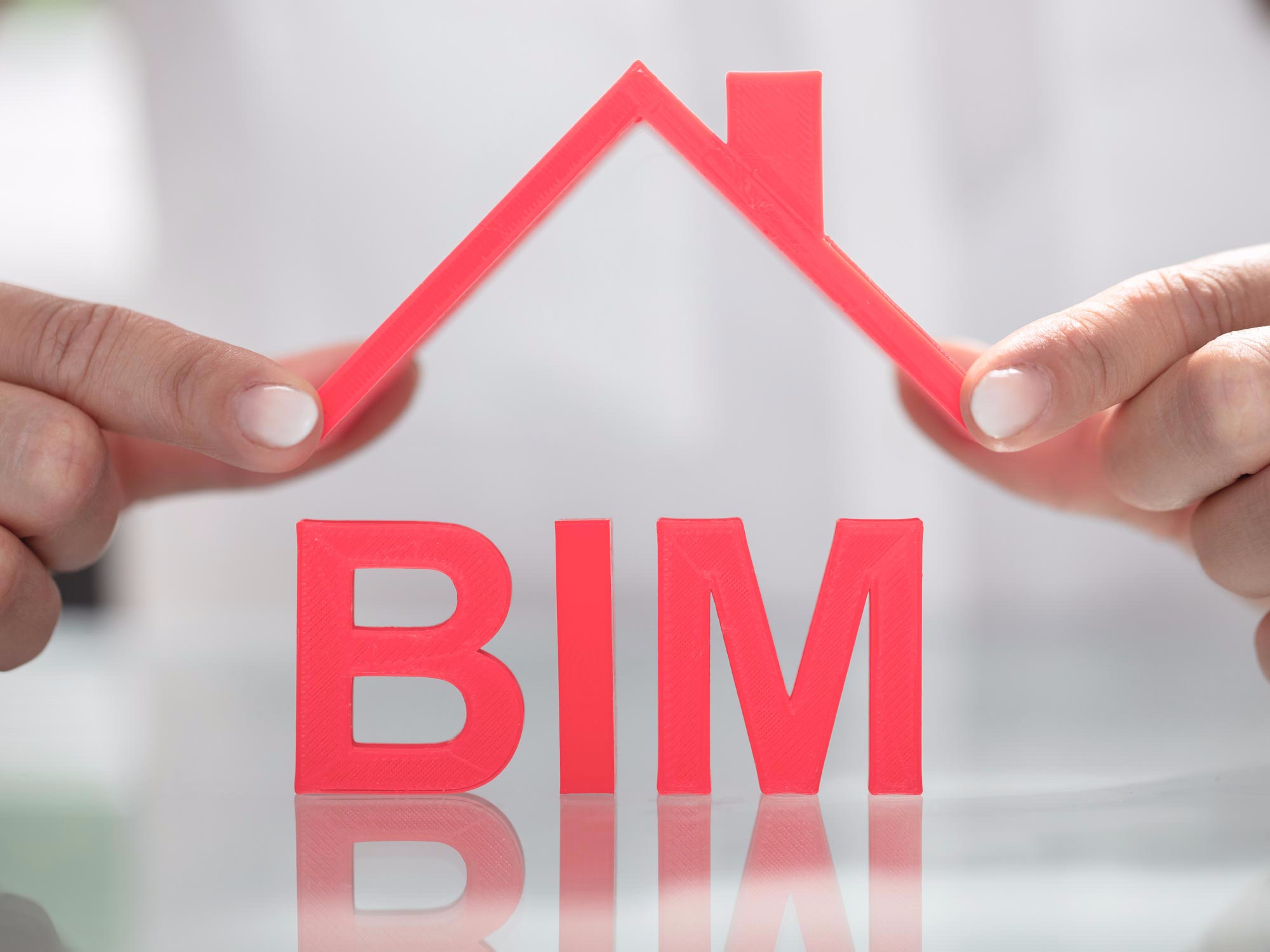 BIM